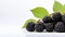 Blackberries close up on white background. Blackberry branch. Food texture photography. Horizontal format for advertising, banner