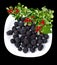 Blackberries. cowberry