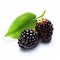 Blackberries With Green Leaf: A Dark Magenta Larme Kei Inspiration