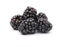 Blackberries Isolated on White Background