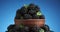 Blackberries and leaves of green mint in bowl. rotation on blue background