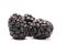 Blackberries macro
