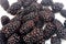 Blackberries macro selective focus