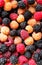 Blackberries, raspberries, and white raspberries close-up of a scattering of berries