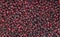 Blackberries textured background, fresh forest wild berry,