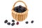 Blackberries in wicker basket isolated