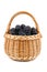 Blackberries in wicker basket isolated on white background
