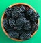 Blackberries in a wooden bowl. Ripe and tasty black berry isolated on green baclground.