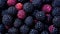 blackberry background close-up, Berries are fresh and juicy, blueberry, different size and shape.