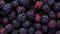 blackberry background close-up, Berries are fresh and juicy, blueberry, different size and shape.