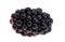 blackberry berries isolated