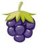 Blackberry cartoon icon. Ripe healthy natural berry