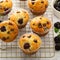 Blackberry and chocolate chip muffins, summer recipe