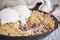 Blackberry Cobbler Baked in a Cast Iron Pan with Ice Cream
