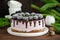 Blackberry cream mousse cake no baked cheesecake with chocolate glaze and frozen blackberry on top on a white plate