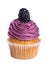 Blackberry cupcake on white background