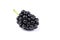 Blackberry, dewberry isolated on a white background. bramble isolated. Healthy food