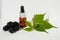 Blackberry essential oil in a bottle for skin care.Blackberry fleecy extract. Cosmetic bottle with serum and blackberries