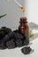 Blackberry essential oil in a bottle for skin care.Blackberry fleecy extract. Cosmetic bottle with serum and blackberries