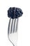 Blackberry on fork