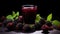 blackberry fresh and juice on the isolated background