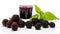 blackberry fresh and juice on the isolated background