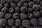 Blackberry fruit background