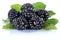 Blackberry fruit blackberries berry berries fresh fruits isolate