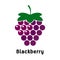 Blackberry logo on a white background. Berry Vector