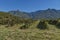 Blackberry plantation in Swellendam area