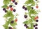 Blackberry. Ripe berries on branch. Seamless pattern, background.