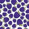 Blackberry seamless pattern. Vector doodle berry design for wallpaper, web page background, wrapping, packaging, textile