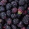 Blackberry seamless for tasty food background