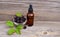 Blackberry seed essential oil in a glass bottle for skin care, naturopathy and wellness on old wooden background.