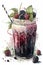 Blackberry smoothie in a tall glass with a straw, watercolor style
