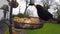 Blackbird - Garden Bird Feeder