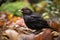 A blackbird in the garden that keeps order created with generative AI technology