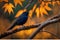 Blackbird Perched on Gnarled Branch: Sleek Feathers Glistening in Sharp Focus Amidst Bokeh Elegance