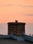 Blackbird sitting on a chimney