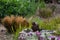 A blackbird taking a bath in a bird bath