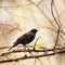 Blackbird on tree branch