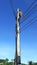 A blackbird, a wild animal, builds nests on the wires, of high voltage poles in rural roads in Thailand