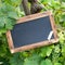 Blackboard, grape-wine