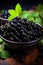 Blackcurrant banner. Bowl full of blackcurrant. Close-up food photography background