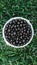 Blackcurrant in a plastic bucket on a background of green grass
