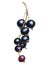 Blackcurrant watercolor illustration. Realistic branch with ripe berries. Juicy artwork with shiny purple sweet food for