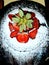 Blackforest cake with strawberries and powdered sugar