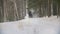 Blackhaired female rider riding a black horse through the drifts in the snowy forest