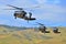 Blackhawk Helicopters flying together.
