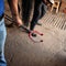 A blacksmith adds a hot shoe onto horse hoof feet